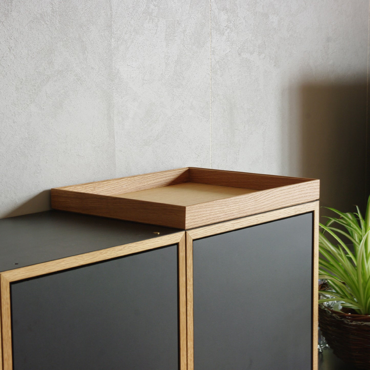 ModuleTray L