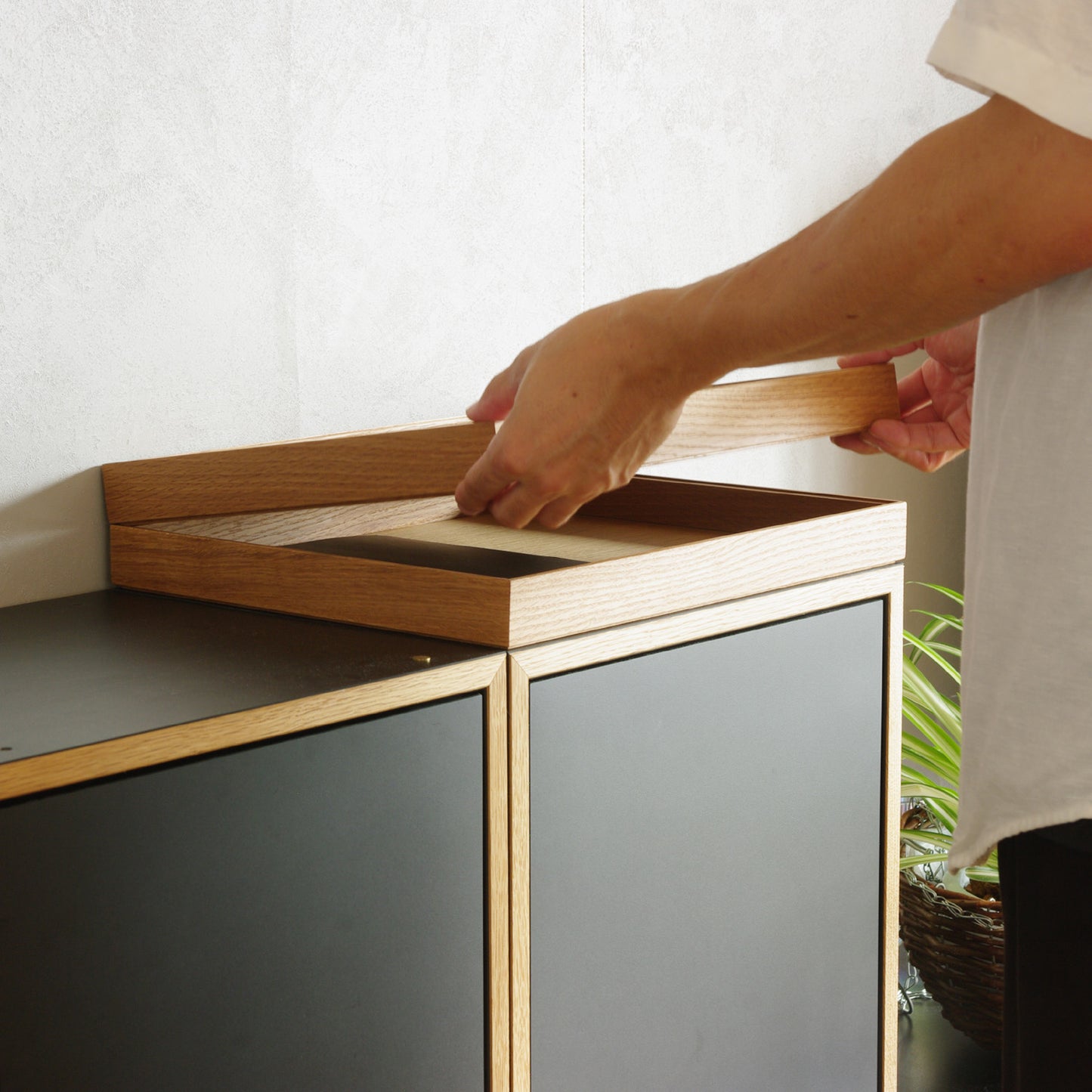 ModuleTray L
