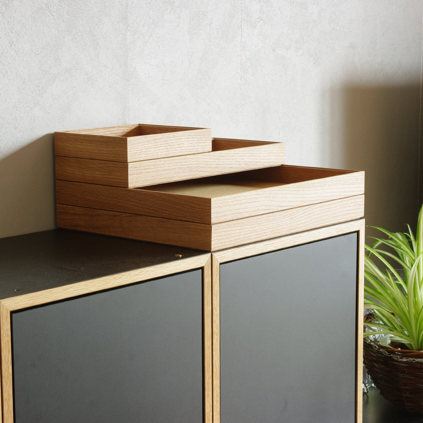 ModuleTray S
