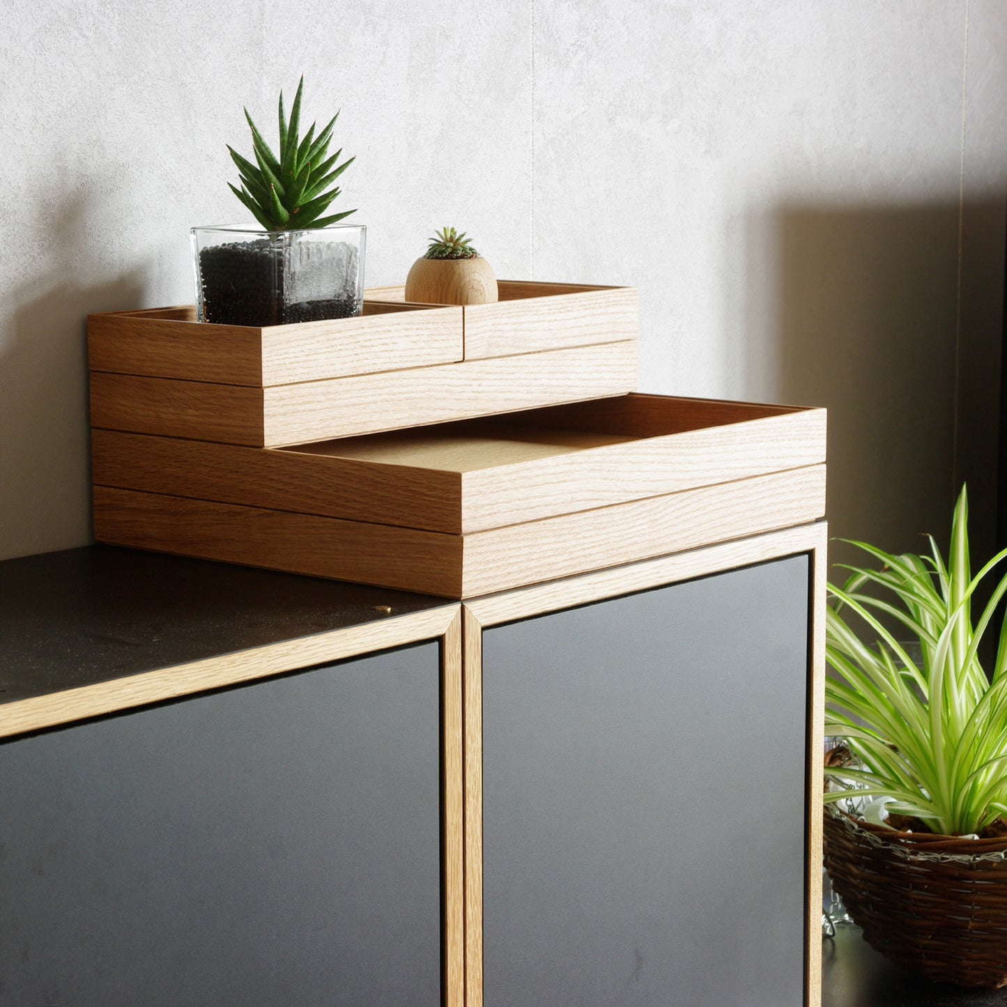 ModuleTray L