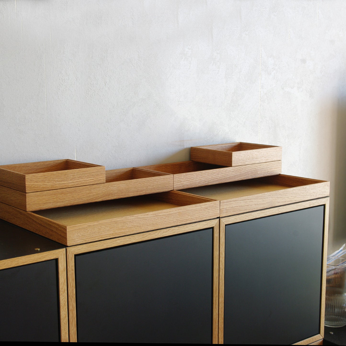 ModuleTray L