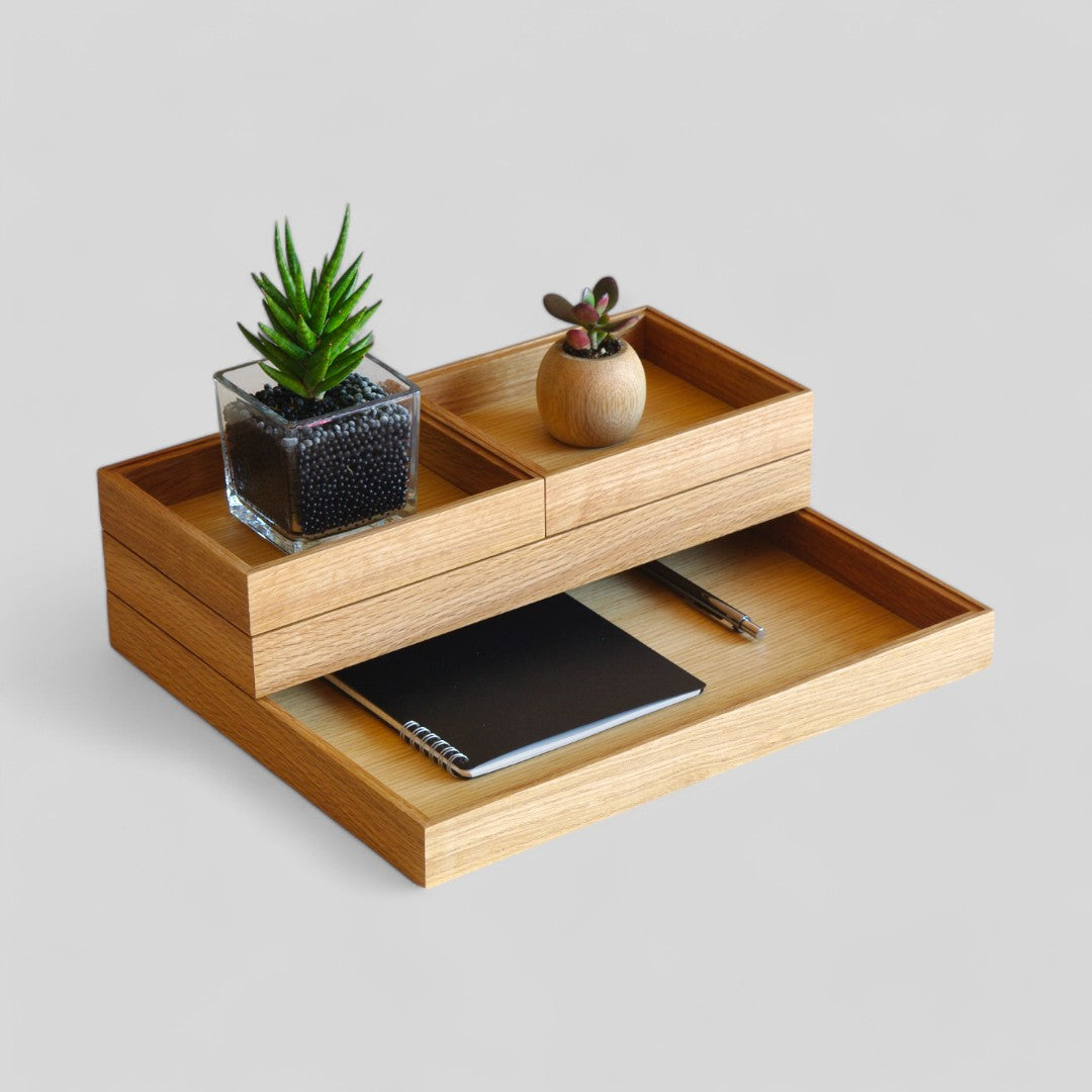ModuleTray L