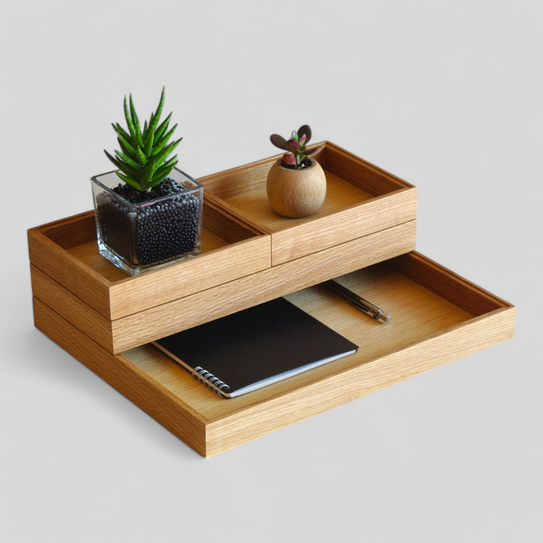 ModuleTray S