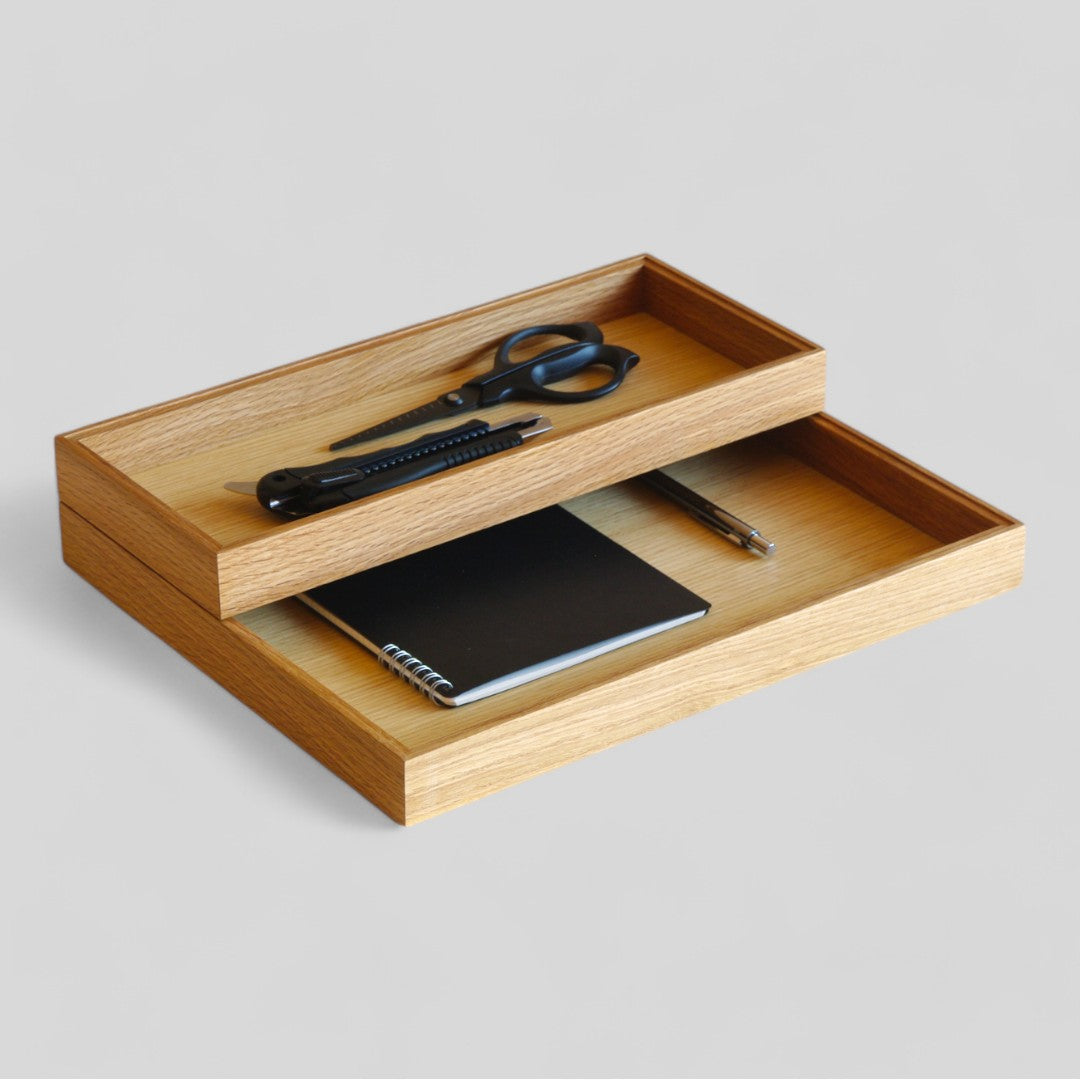 ModuleTray L