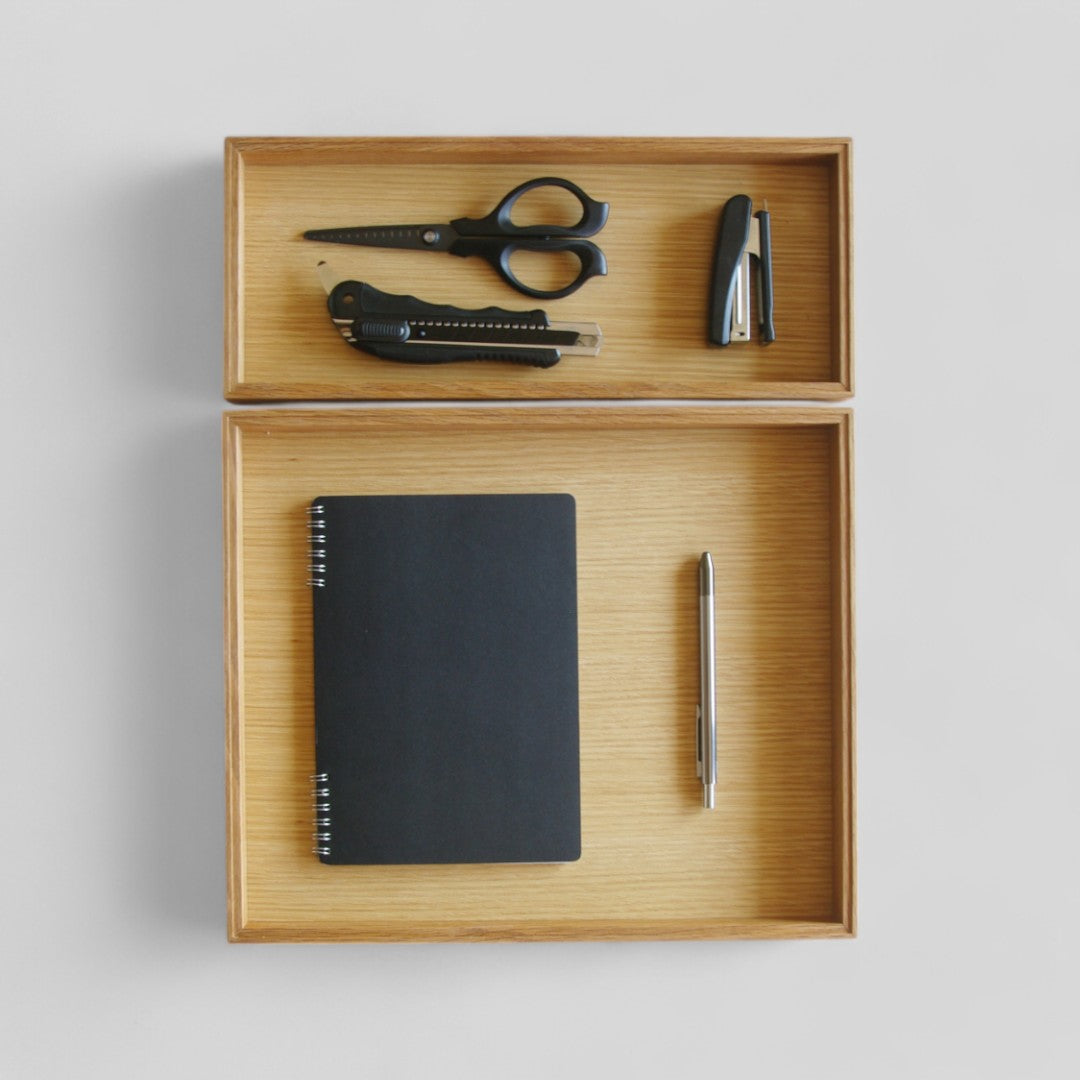 ModuleTray L