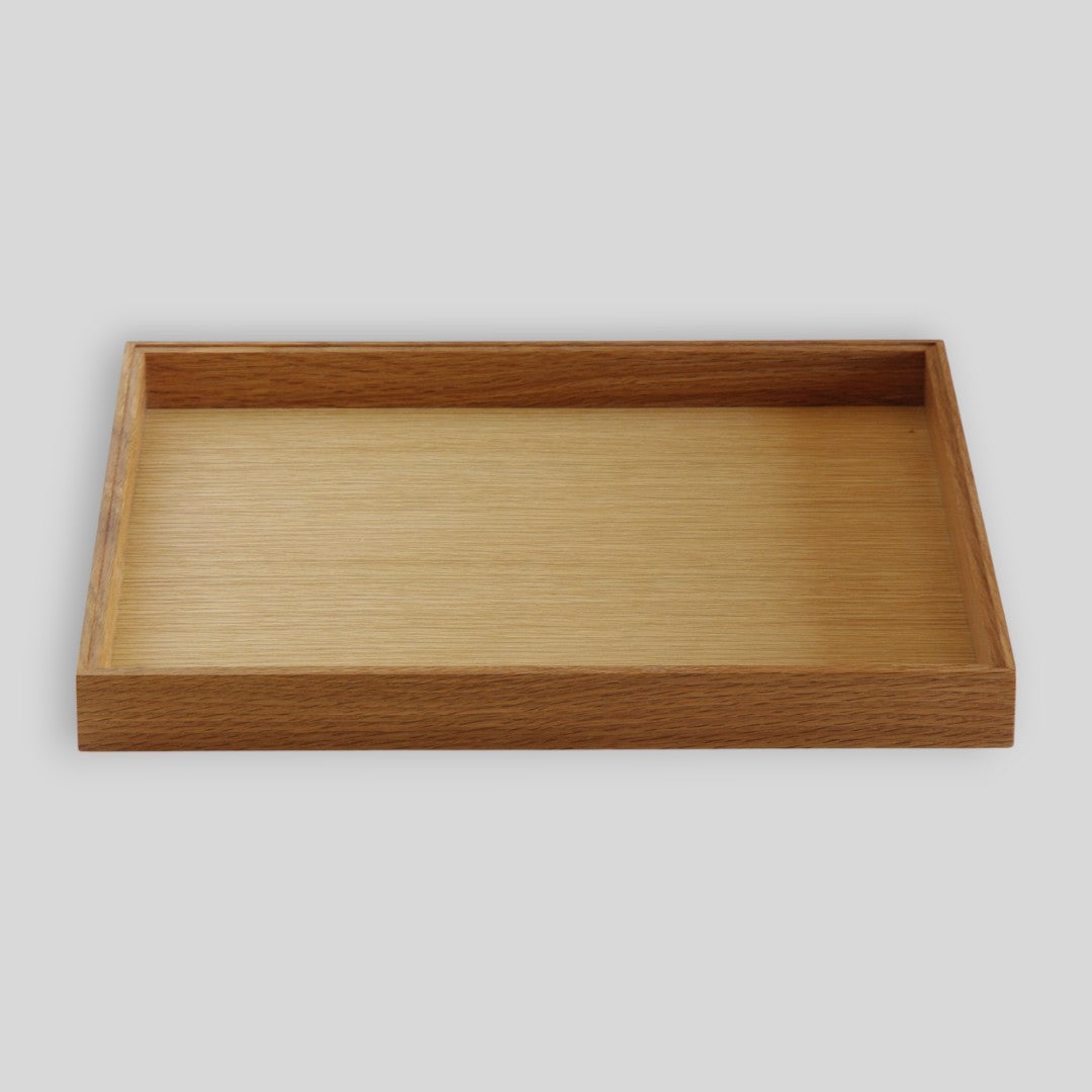 ModuleTray L