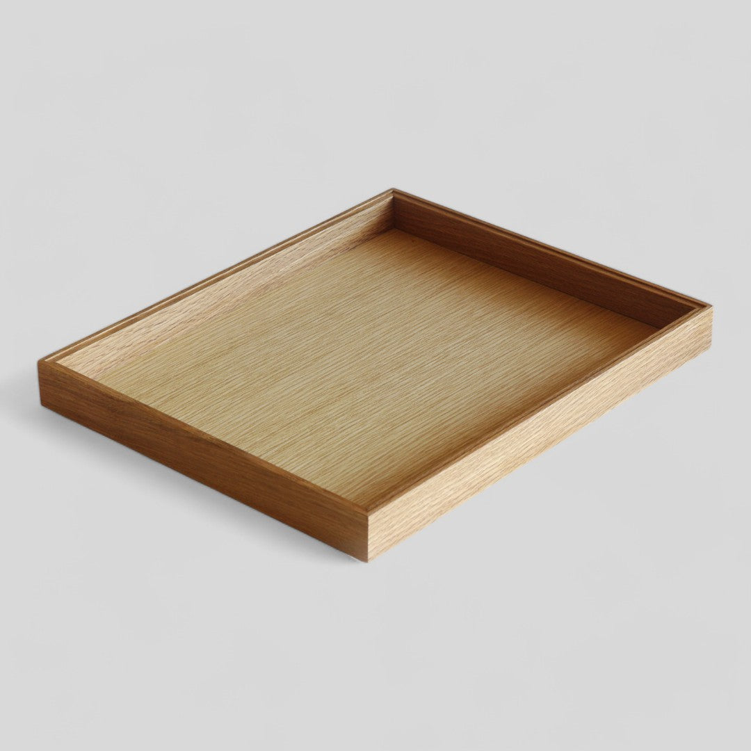 ModuleTray L
