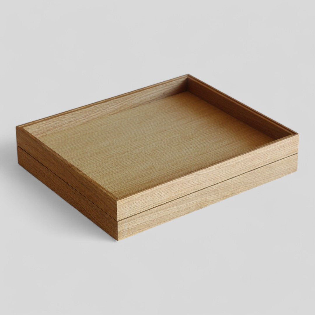 ModuleTray L